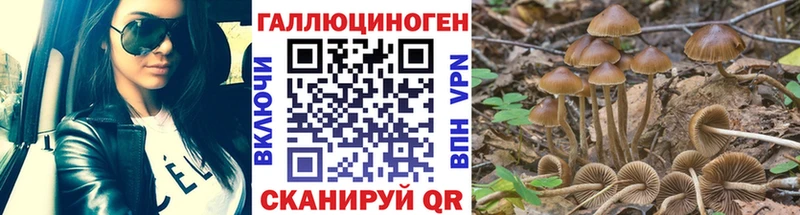 Псилоцибиновые грибы мухоморы  ссылка на мегу ТОР  Ершов 